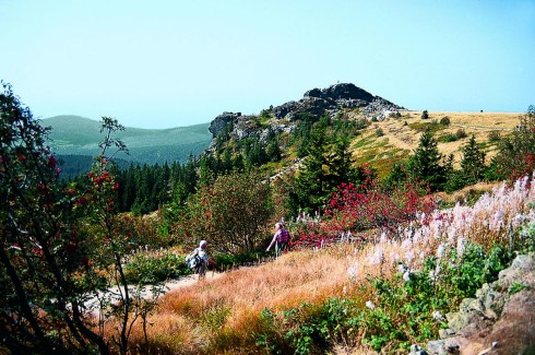 Der Richard Wagner Kopf am Groen Arber